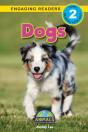 Dogs - Preview