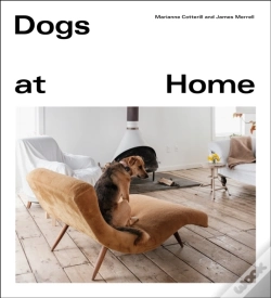 Capa do artigo Dogs At Home