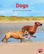 Dogs - Preview
