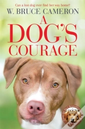 Dog'S Courage