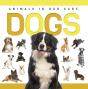 Dogs - Preview