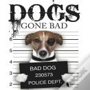 Dogs Gone Bad