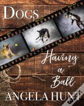 Dogs Having A Ball