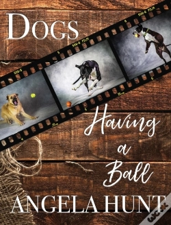 Capa do artigo Dogs Having A Ball