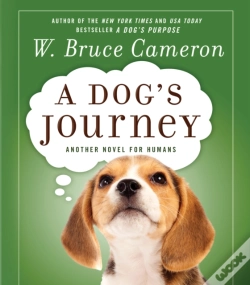 Capa do artigo Dog'S Journey