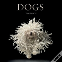 Capa do artigo Dogs