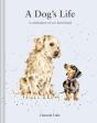 Dog'S Life - Preview