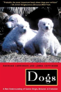Dogs - Preview