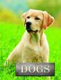 Dogs - Preview