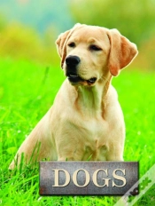 Capa do artigo Dogs