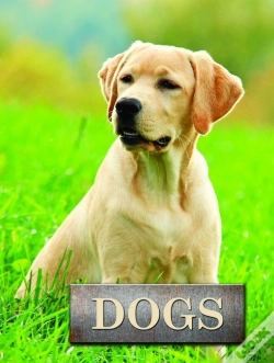 Capa do artigo Dogs