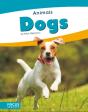 Dogs - Preview