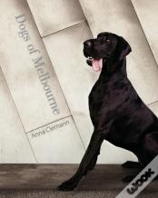 Dogs Of Melbourne