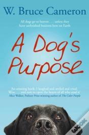 Capa do artigo Dog