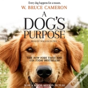 Capa do artigo Dog