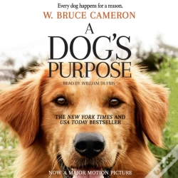 Capa do artigo Dog'S Purpose