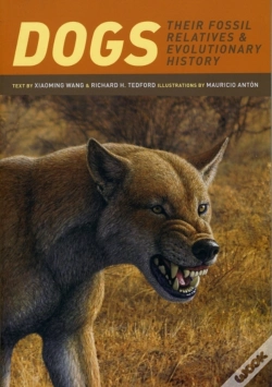 Capa do artigo Dogs