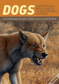 Capa do artigo Dogs