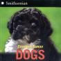 Dogs - Preview