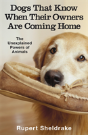 Dogs That Know When Their Owners Are Coming Home - Preview