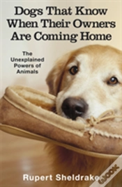 Capa do artigo Dogs That Know When Their Owners Are Coming Home