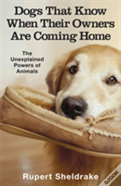 Capa do artigo Dogs That Know When Their Owners Are Coming Home