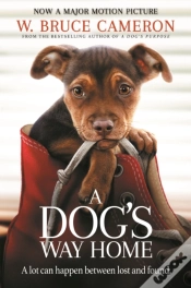 Capa do artigo Dog