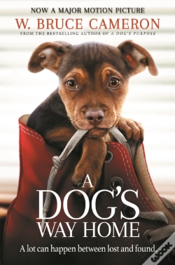 Capa do artigo Dog'S Way Home