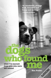 Capa do artigo Dogs Who Found Me