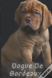 Capa do artigo Dogue De Bordeaux
