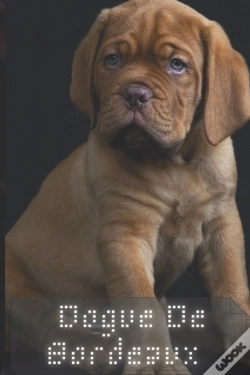 Capa do artigo Dogue De Bordeaux