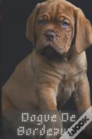 Dogue De Bordeaux