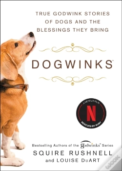 Capa do artigo Dogwinks