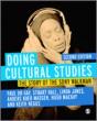 Doing Cultural Studies - Preview
