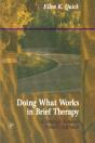 Doing What Works In Brief Therapy - Preview