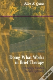 Capa do artigo Doing What Works In Brief Therapy