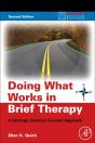 Doing What Works In Brief Therapy - Preview