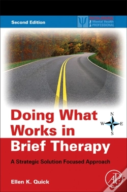 Capa do artigo Doing What Works In Brief Therapy