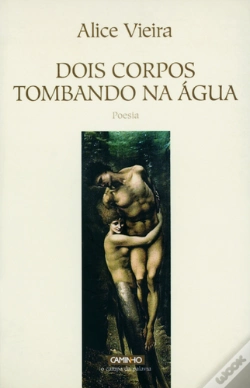 Capa do artigo Dois Corpos Tombando na Água
