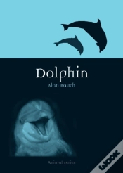 Capa do artigo Dolphin