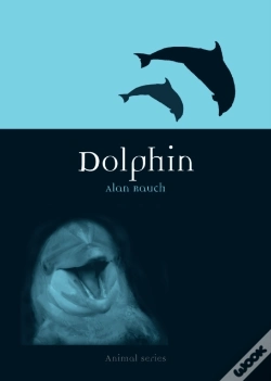 Capa do artigo Dolphin