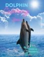 Dolphin Coloring Pages - Preview