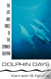 Capa do artigo Dolphin Days