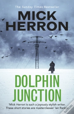 Capa do artigo Dolphin Junction