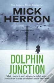 Capa do artigo Dolphin Junction