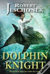 Capa do artigo Dolphin Knight