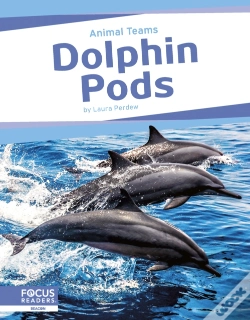 Capa do artigo Dolphin Pods