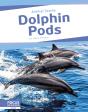 Dolphin Pods - Preview