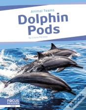 Capa do artigo Dolphin Pods