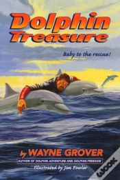 Capa do artigo Dolphin Treasure